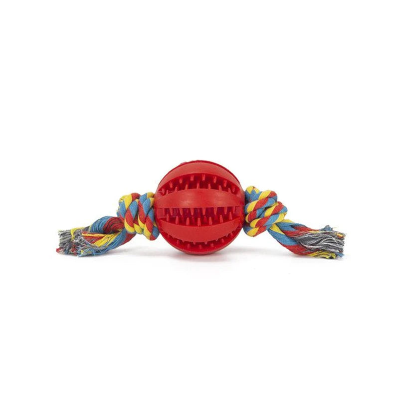 Same Day Delivery Interactive Dog Toy Ball - Chewing and Tooth Cleaning Solution for Pets