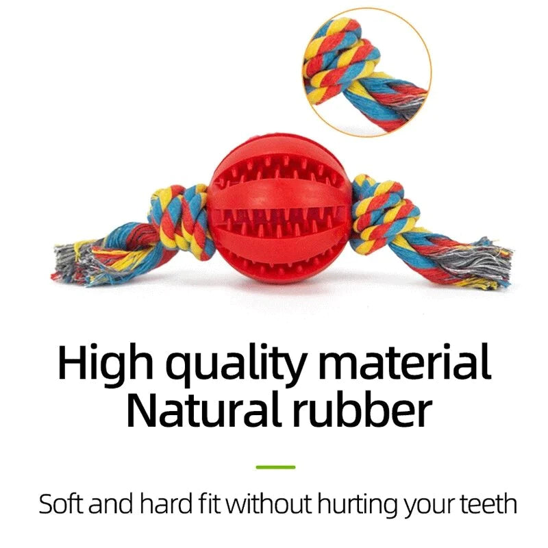 Same Day Delivery Interactive Dog Toy Ball - Chewing and Tooth Cleaning Solution for Pets