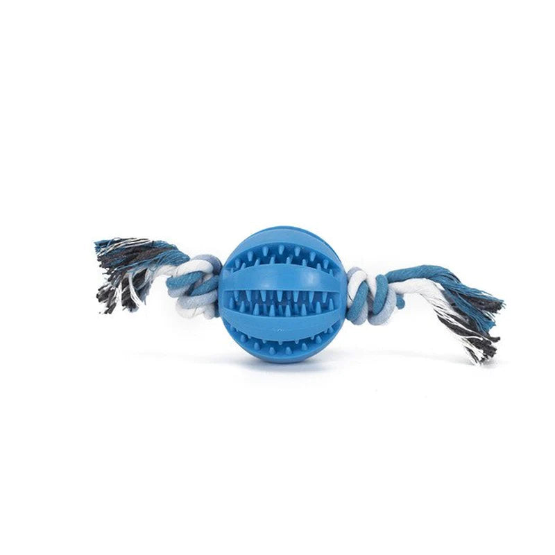 Same Day Delivery Interactive Dog Toy Ball - Chewing and Tooth Cleaning Solution for Pets