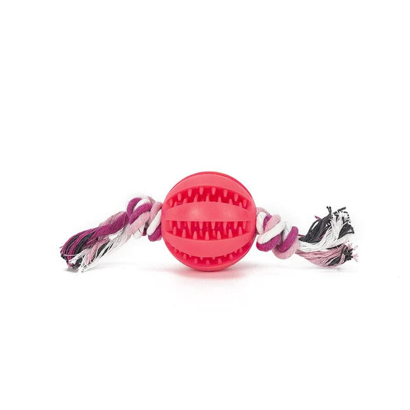 Same Day Delivery Interactive Dog Toy Ball - Chewing and Tooth Cleaning Solution for Pets