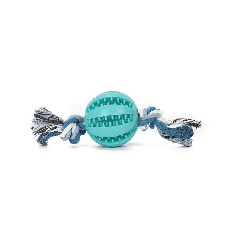 Same Day Delivery Interactive Dog Toy Ball - Chewing and Tooth Cleaning Solution for Pets