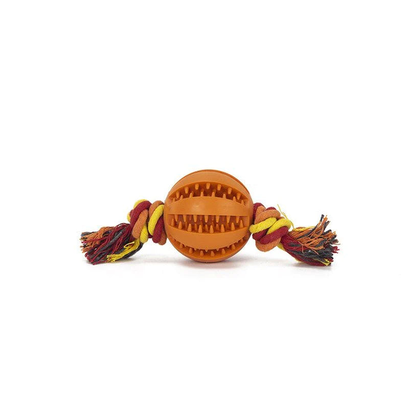 Same Day Delivery Interactive Dog Toy Ball - Chewing and Tooth Cleaning Solution for Pets