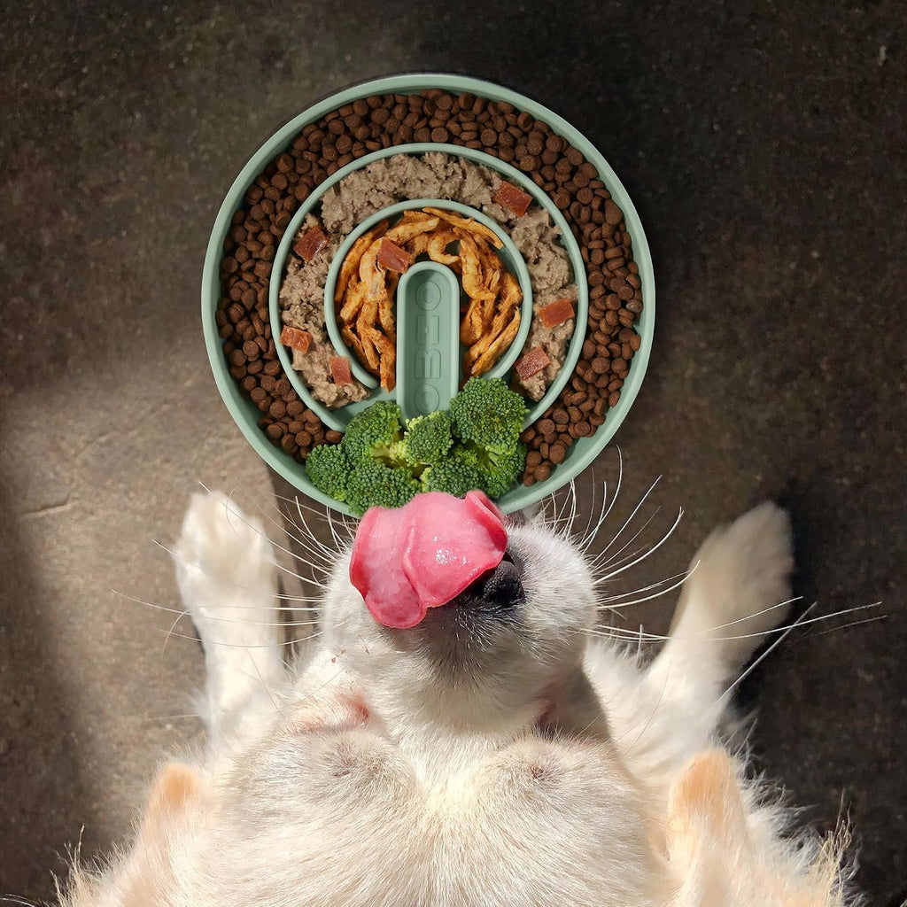 OHMO anti Schling Napf Hund Katzen Slow Feeder M-Klassisch Hellgrün