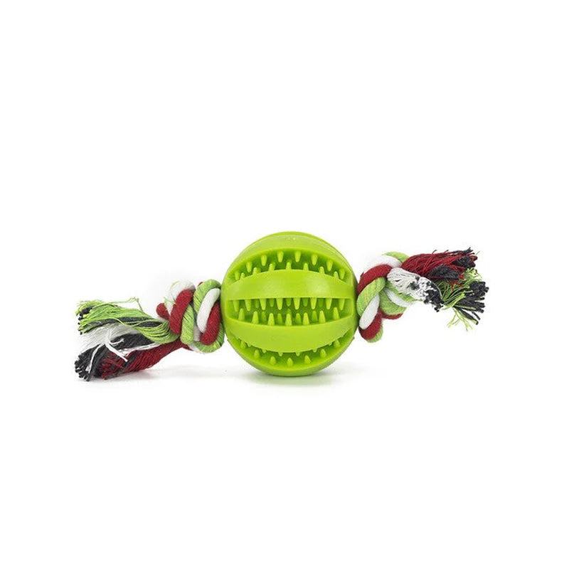 Same Day Delivery Interactive Dog Toy Ball - Chewing and Tooth Cleaning Solution for Pets