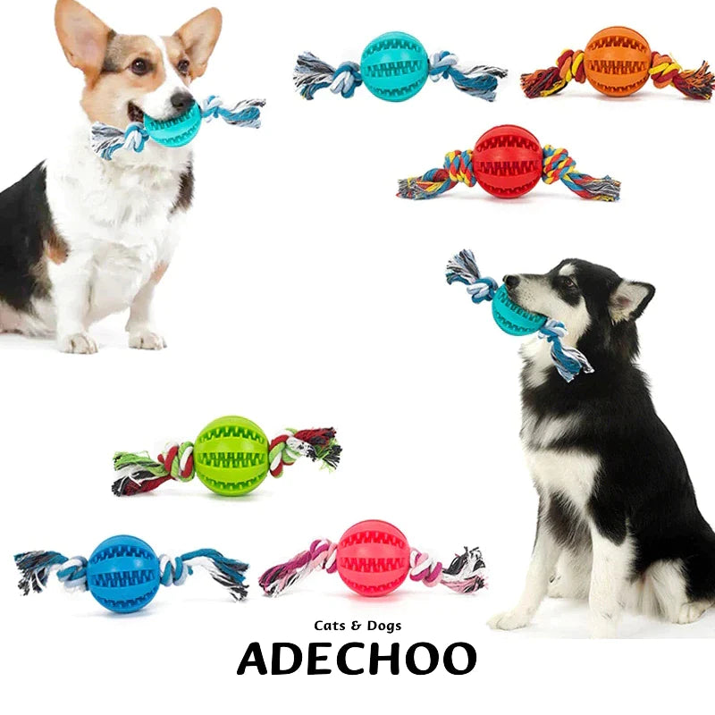 Same Day Delivery Interactive Dog Toy Ball - Chewing and Tooth Cleaning Solution for Pets