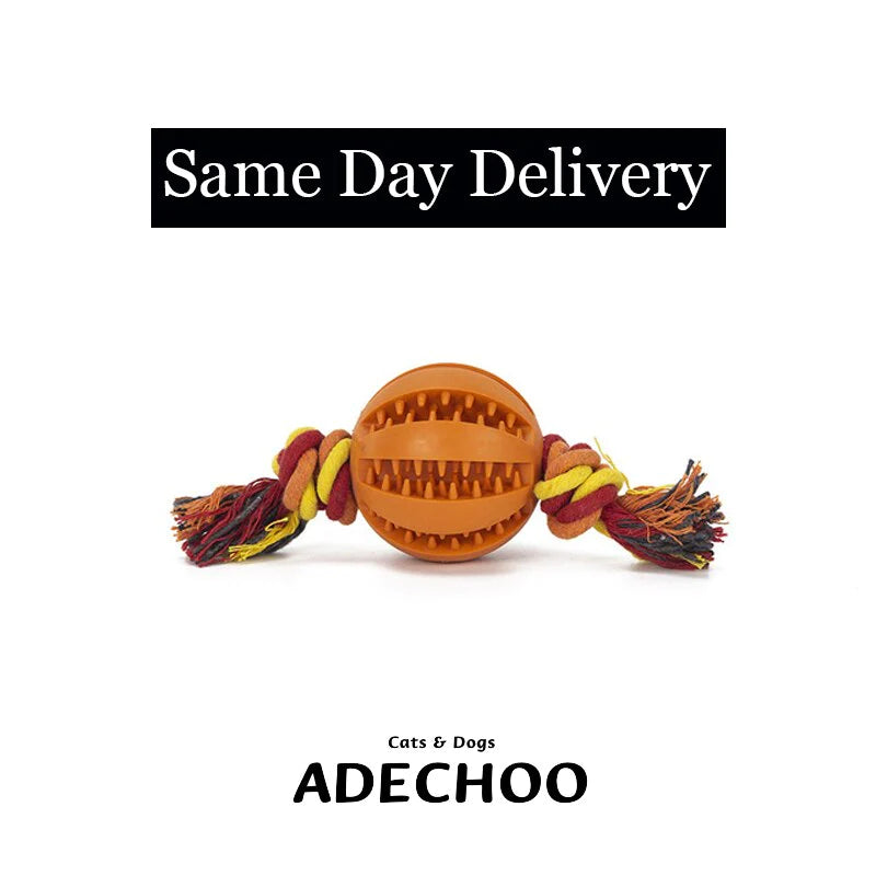 Same Day Delivery Interactive Dog Toy Ball - Chewing and Tooth Cleaning Solution for Pets